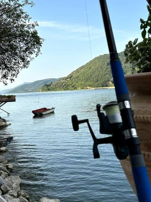 Dunavska Vila Milosavljevic Donji Milanovac Zewnętrze zdjęcie